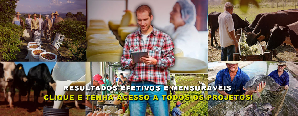 Conheça nossos projetos