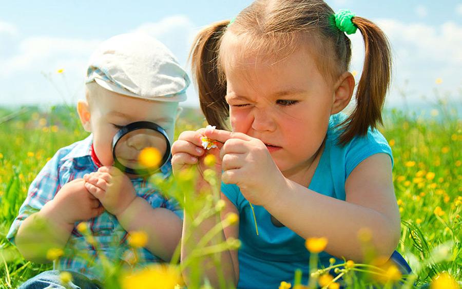 Educação Ambiental - ESSA - Estratégia Socioambiental