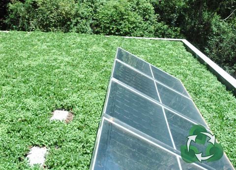 Arquitetura Verde & Paisagismo Sustentável - ESSA - Estratégia Socioambiental - 1