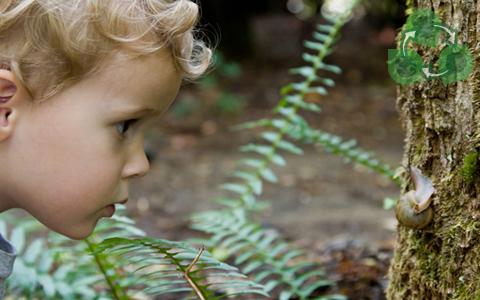 Educação Ambiental - ESSA - Estratégia Socioambiental - 1