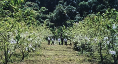 Avaliação de Investimento Social InternacionalESSA - Estratégia Socioambiental