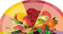 COMUSAN (Conselho Municipal de Segurança Alimentar e Nutricional)ESSA - Estratégia Socioambiental