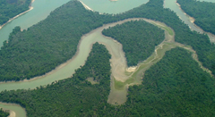 Desenvolvimento de Fornecedores Sustentáveis na AmazôniaESSA - Estratégia Socioambiental