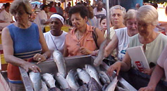 Feira do Peixe - Ministério da Pesca e Aquicultura (MPA)ESSA - Estratégia Socioambiental