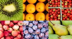 Fruticultura - ComercializaçãoESSA - Estratégia Socioambiental