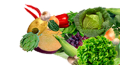 I Congresso Vegetariano Brasileiro e Latino-AmericanoESSA - Estratégia Socioambiental