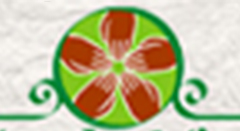 Inclusão Sustentável ParticipativaESSA - Estratégia Socioambiental