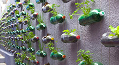 Paisagismo Sustentável do Parque 7 CamposESSA - Estratégia Socioambiental