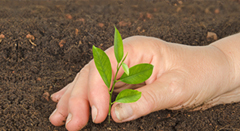 Programa de Educação Ambiental (PEA)ESSA - Estratégia Socioambiental