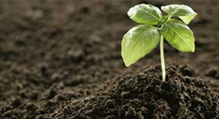 Projeto Adubo Orgânico - Resíduo ZeroESSA - Estratégia Socioambiental