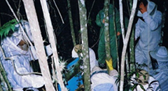 Projeto Grupo de ApiculturaESSA - Estratégia Socioambiental