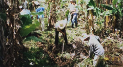 Projeto Mutirão - Juntos Somos MaisESSA - Estratégia Socioambiental