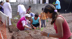 Projeto Plantas MedicinaisESSA - Estratégia Socioambiental