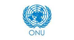 Prospecção de Mercado e Plano de MarketingESSA - Estratégia Socioambiental