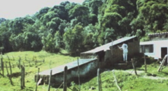 Verticalização da Agricultura Familiar - Secador Natural de FrutasESSA - Estratégia Socioambiental