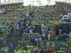 ONU / FAO - Pesquisa para diminuir Desperdício de Alimentos. - ESSA - Estratégia Socioambiental - 1