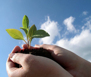 Termo de Referência Nacional em Sustentabilidade - ESSA - Estratégia Socioambiental - 1