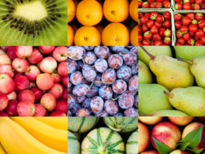 Fruticultura - Comercialização - ESSA - Estratégia Socioambiental - 1