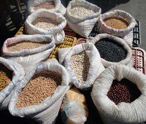 Avaliação do PAA - Vale do Ribeira - ESSA - Estratégia Socioambiental - 1