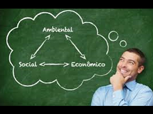 Compras Empresariais Sustentáveis - ESSA - Estratégia Socioambiental - 1