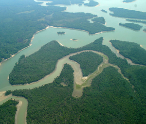 Desenvolvimento de Fornecedores Sustentáveis na Amazônia - ESSA - Estratégia Socioambiental - 1