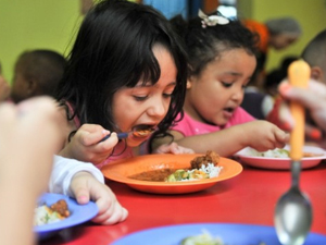 Merenda Orgânica - ESSA - Estratégia Socioambiental - 1