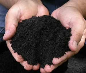 Projeto Adubo Orgânico - Resíduo Zero - ESSA - Estratégia Socioambiental - 1