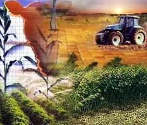 Faculdade Cantareira - Curso Agronomia - ESSA - Estratégia Socioambiental - 1