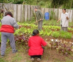 Projeto Mães da APAE - ESSA - Estratégia Socioambiental - 1