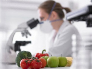 COMUSAN (Conselho Municipal de Segurança Alimentar e Nutricional) - ESSA - Estratégia Socioambiental - 1