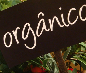 Regulamentação da Lei Federal Nº 10.831/03 - Agricultura Orgânica - ESSA - Estratégia Socioambiental - 1