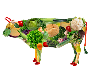 I Congresso Vegetariano Brasileiro e Latino-Americano - ESSA - Estratégia Socioambiental - 1