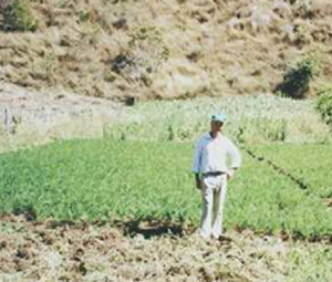 Projeto Intercâmbio Rural - Trocando Conhecimento - ESSA - Estratégia Socioambiental - 1