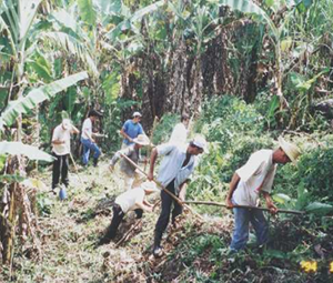 Projeto Mutirão - Juntos Somos Mais - ESSA - Estratégia Socioambiental - 1