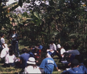 Educação Ambiental - Vale do Ribeira - ESSA - Estratégia Socioambiental - 1