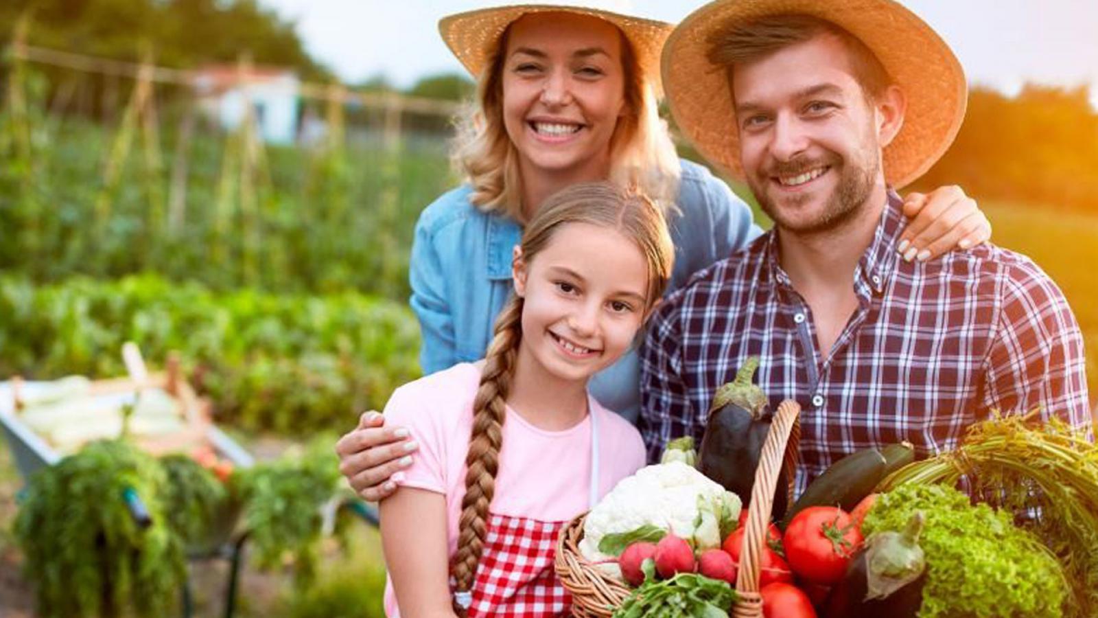 COMERCIALIZAÇÃO - ESSA - Estratégia Socioambiental ESSA - Estratégia Socioambiental