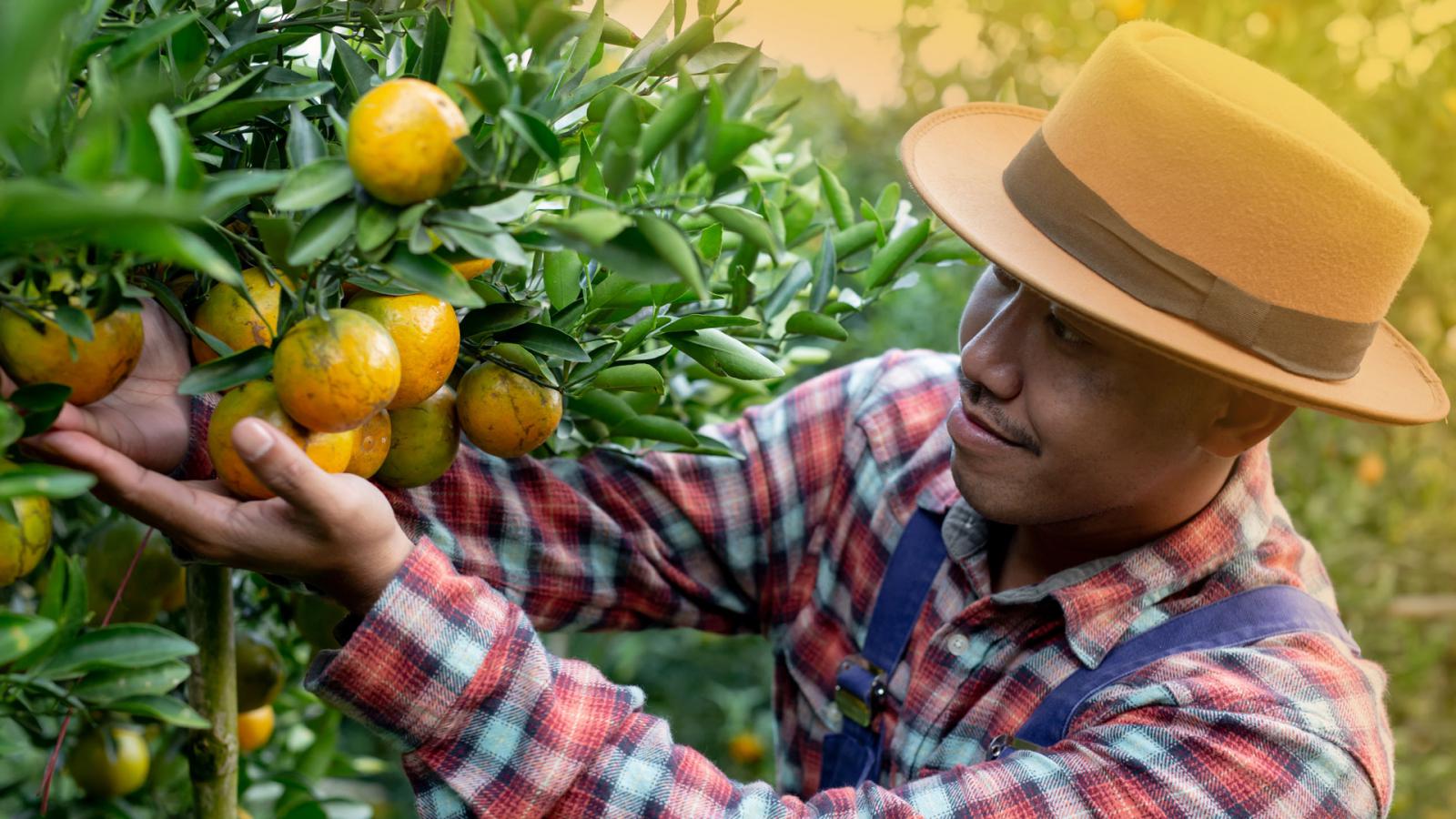 COMERCIALIZAÇÃO - ESSA - Estratégia Socioambiental ESSA - Estratégia Socioambiental