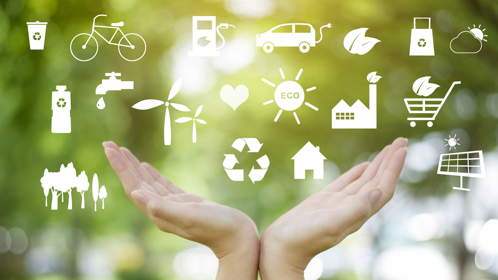 COMERCIALIZAÇÃO - ESSA - Estratégia Socioambiental ESSA - Estratégia Socioambiental