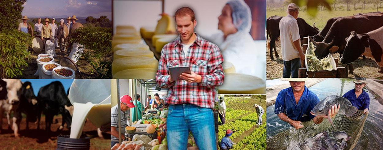 Projetos - ESSA - Estratégia Socioambiental ESSA - Estratégia Socioambiental